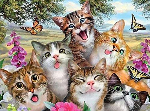 Amazon Pegatinas pared para Decoración Diseno Animales 6 gatos y mariposas- envío prime