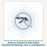 Chedraui: 2x1 Insecticida en Aerosol Raid para Casa y Jardín 400ml con Raid Laminitas 16 laminitas