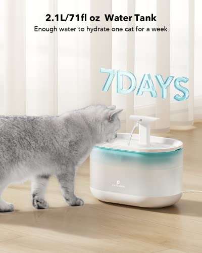 Amazon: PETLIBRO Fuente de agua para gatos para que no tomen agua con pelo y polvo