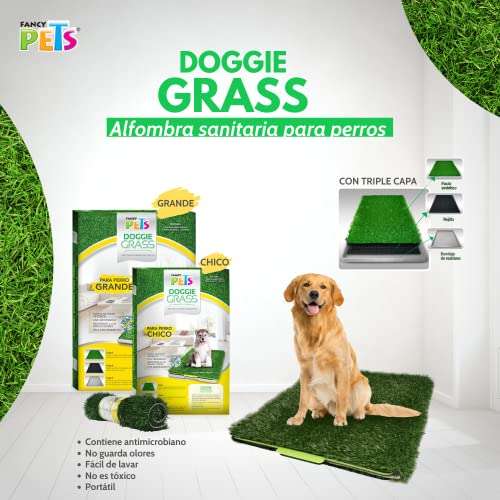 Amazon: Fancy Pets DOGGIE GRASS GDE