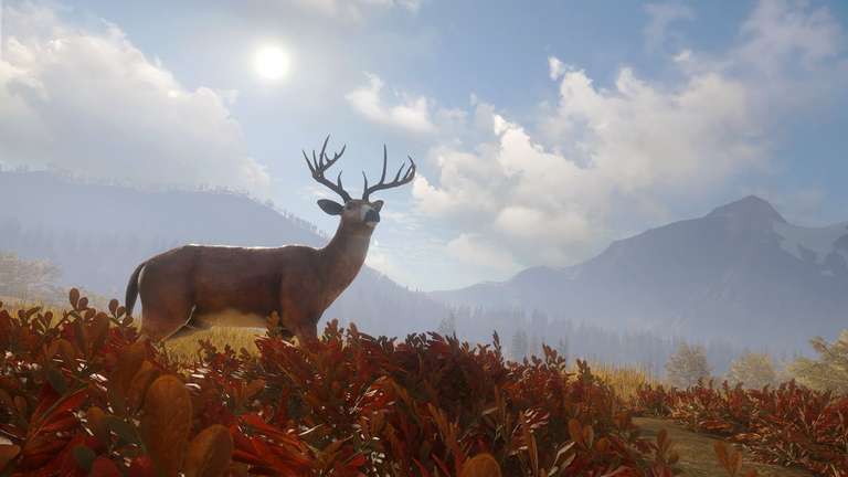 Steam: theHunter: Call of the Wild