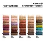 Amazon: Revlon, Paleta de libros Colorstay Looks, Original