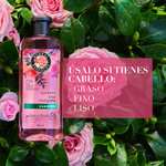 Amazon: HERBAL ESSENCES, Shampoo Smooth, Suavidad Rosa Mosqueta, Sin Siliconas ni Aceites Minerales, 400 ml