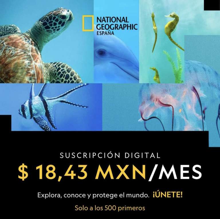 Revista National Geographic - Suscripción Anual (Digital)
