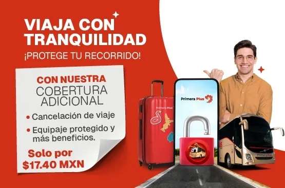 PRIMERA PLUS - ¡Aprovecha el 5% de descuento en tu compra! at ...