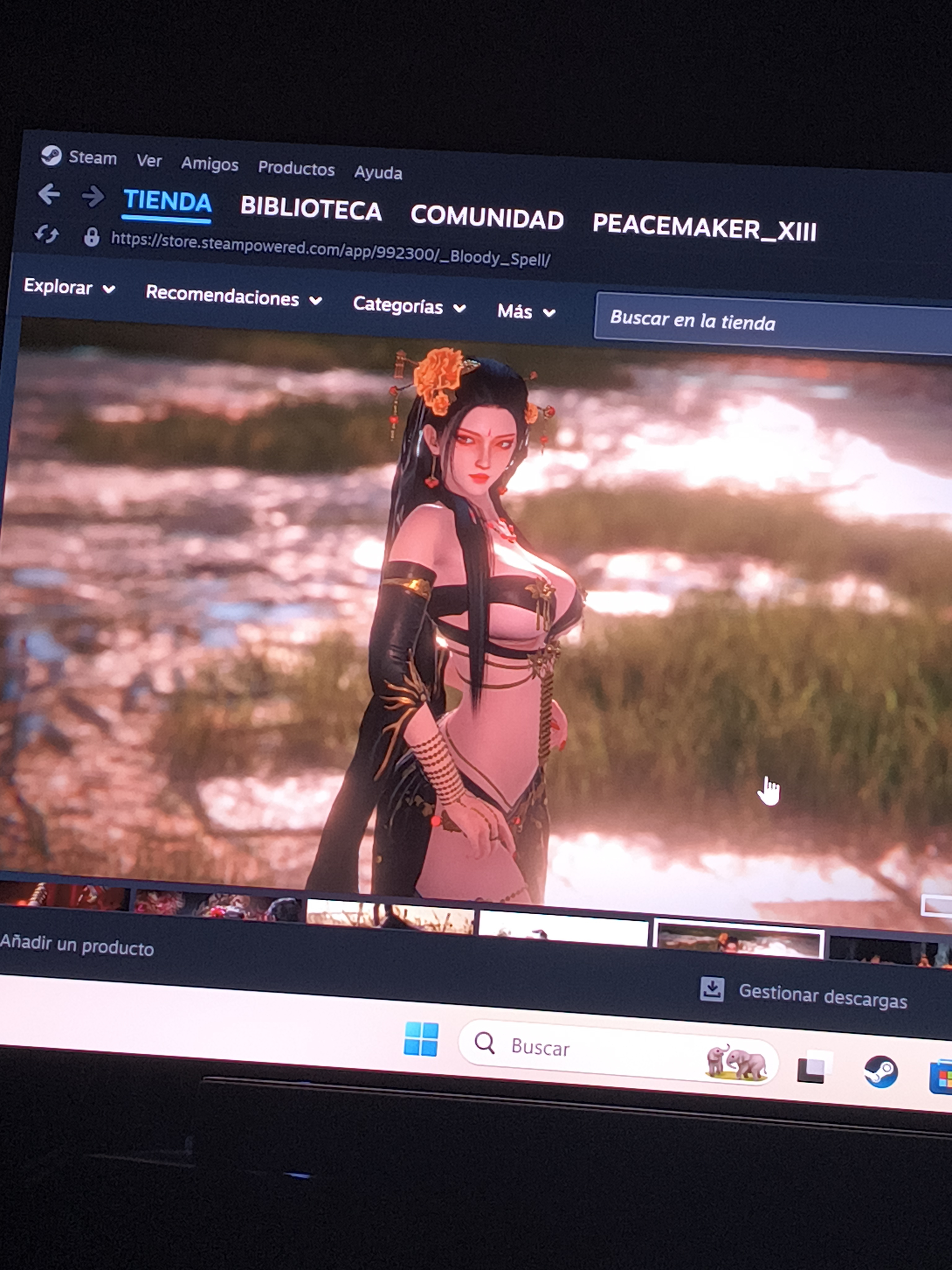Steam: Bloody Spell Steam PC