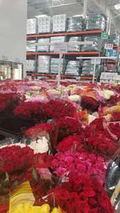 24 rosas por $199 en Costco San Luis Potosí