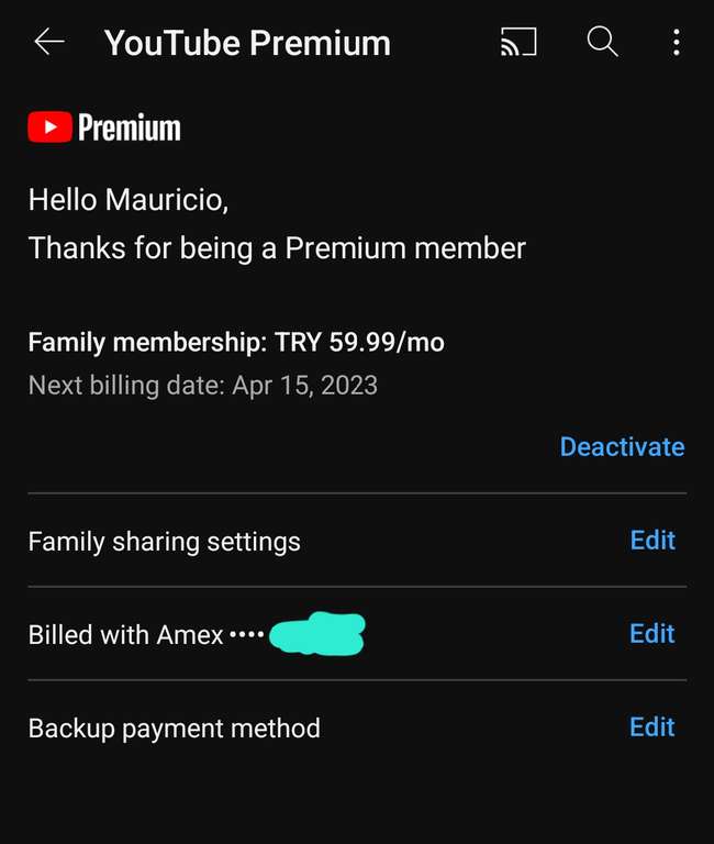 YouTube premium familiar Turquía