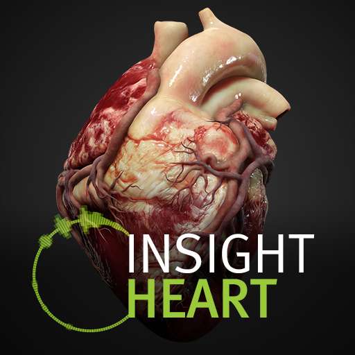 App Store y Google Play: Insight Heart, aplicación para ver el corazón y dentro de él en realidad aumentada