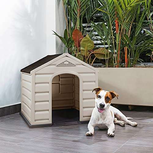 Amazon: Small Breed Dog House Casa de Perro Pequeña