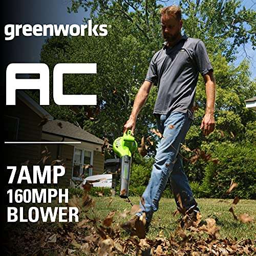 Amazon: Greenworks Soplador eléctrico