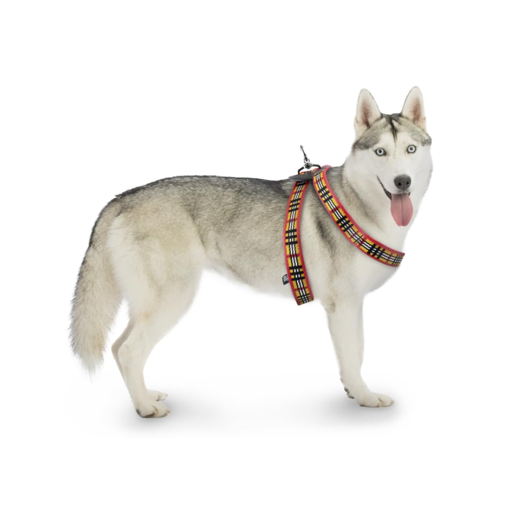 Amazon: Fancy Pets Arnés Berrydog Color Rojo Tamaño Grande para Perro