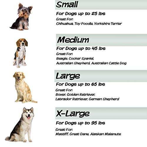 Amazon Cama ortopédica para Mascotas tamaño mediano