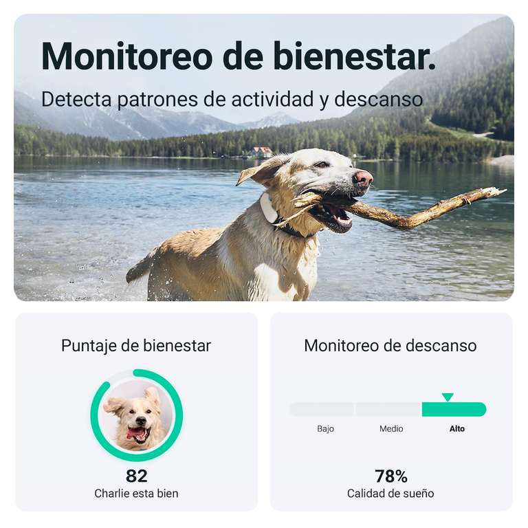 Amazon: Localizador para perros