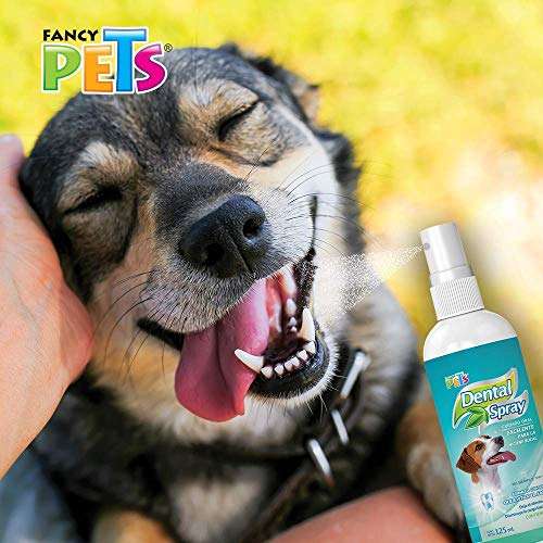 AMAZON : Fancy Pets Spray Dental 125 Mililítros Anti Sarro para Perro