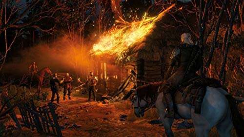 Amazon: The Witcher 3: Wild Hunt - Complete Edition (PlayStation 4)