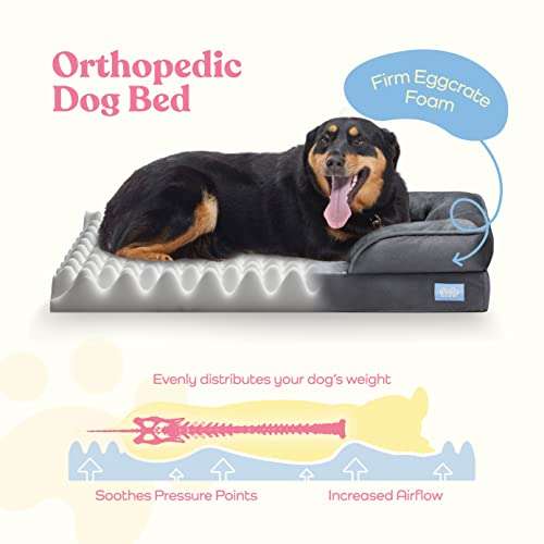 Sofá Grande ortopédico cama para perros (Precio al Finalizar)