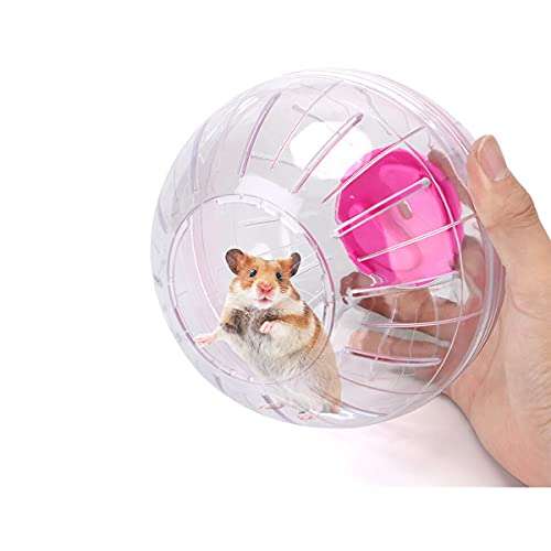 Amazon: Hamster Esfera de 12 cm