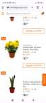 Home Depot: Plantas al 2x1 | Ejemplo: Planta Natural Kalanchoe 25 x 17 cm en maceta de plástico