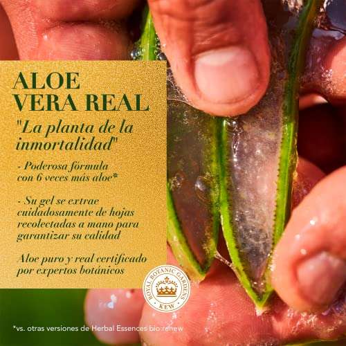 Amazon: Shampoo Herbal Essences Aloe Vera y Mango 400ml | Planea y Ahorra, envío gratis con Prime