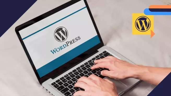 Llegaron los temas del mes de Agosto de Wordpress.