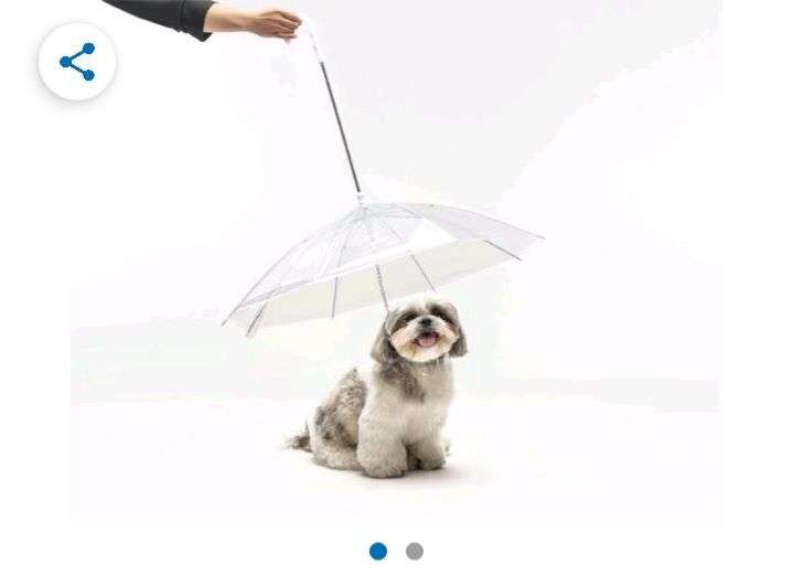 Coppel: Paraguas Huppy para Mascotas