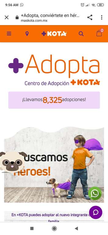 Adopciones +kota