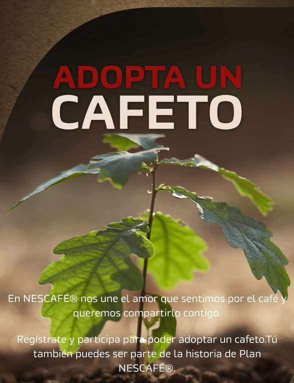 Kit planta cafeto Nescafé gratis