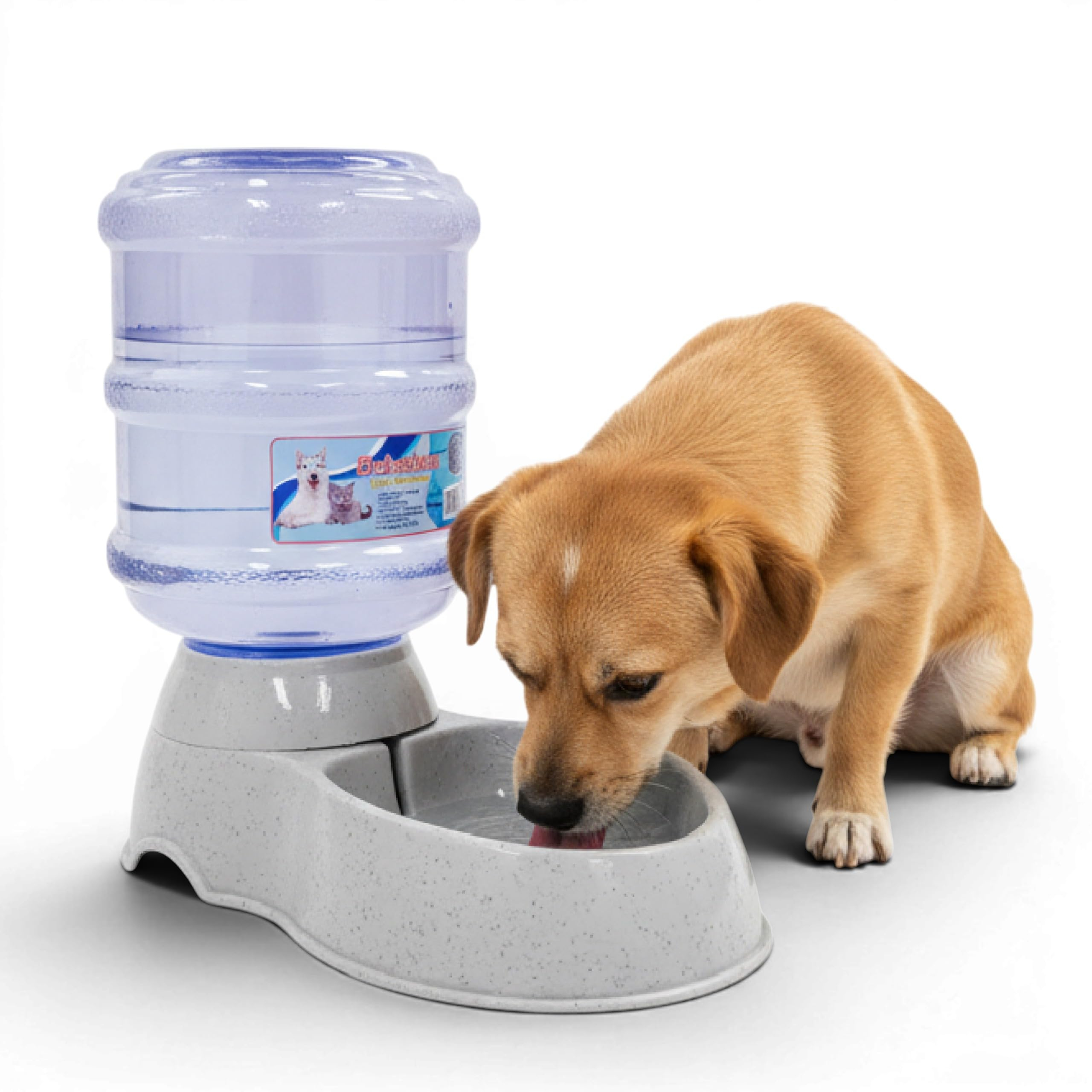 Amazon: bebedero para perro
