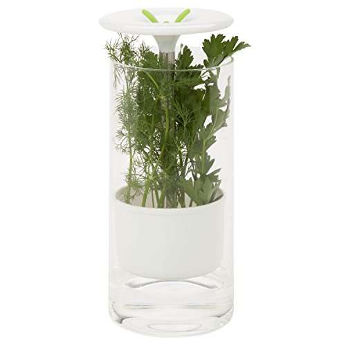 AMAZON: Cristal preservación de hierbas o lo que es lo mismo no tengas el cilantro echado a perder en la caja del refri