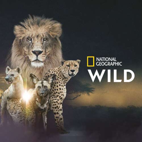 National Geographic y Nat Geo WILD Ahora GRATIS en YouTube