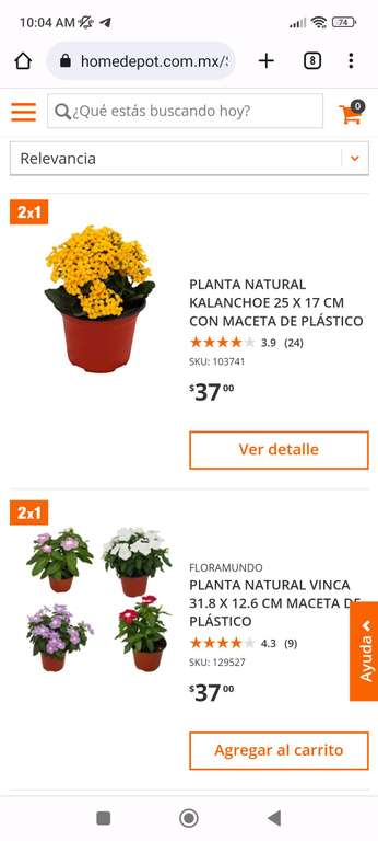Home Depot: Plantas al 2x1 | Ejemplo: Planta Natural Kalanchoe 25 x 17 cm en maceta de plástico