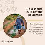 Amazon LA PARROQUIA DE VERACRUZ - Bolsa de Café de Grano Tostado, 780 g, Café Puro 100%,