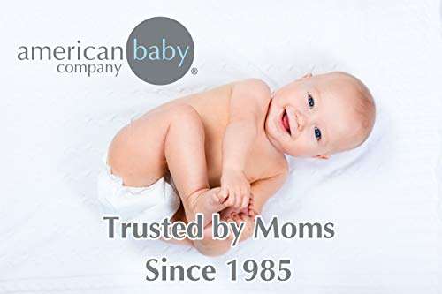 Amazon American Baby Company Sábana de Tejido en Jersey 100 % de Algodón para Moisés, azul- envío prime