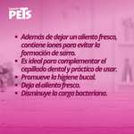 AMAZON : Fancy Pets Spray Dental 125 Mililítros Anti Sarro para Perro