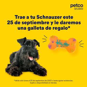 Petco - Galleta gratis para perro Schnauzer