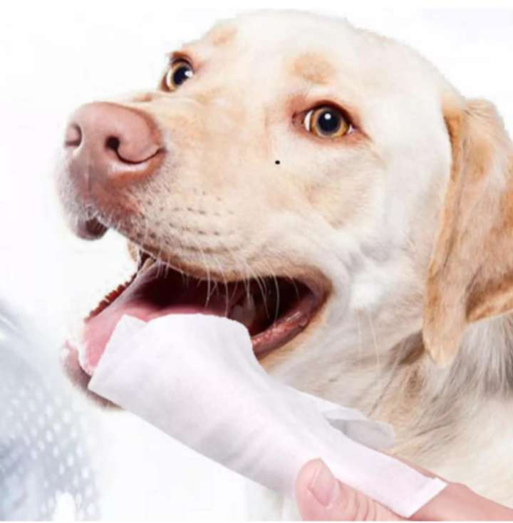 Amazon: Fancy Pets Kit para perro de Toallitas dentales + Limpiador de oídos.