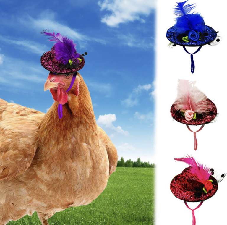AliExpress: Sombrero para pollo
