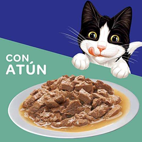 Amazon: Alimento húmedo para gato Purina Félix (24 Sobres)