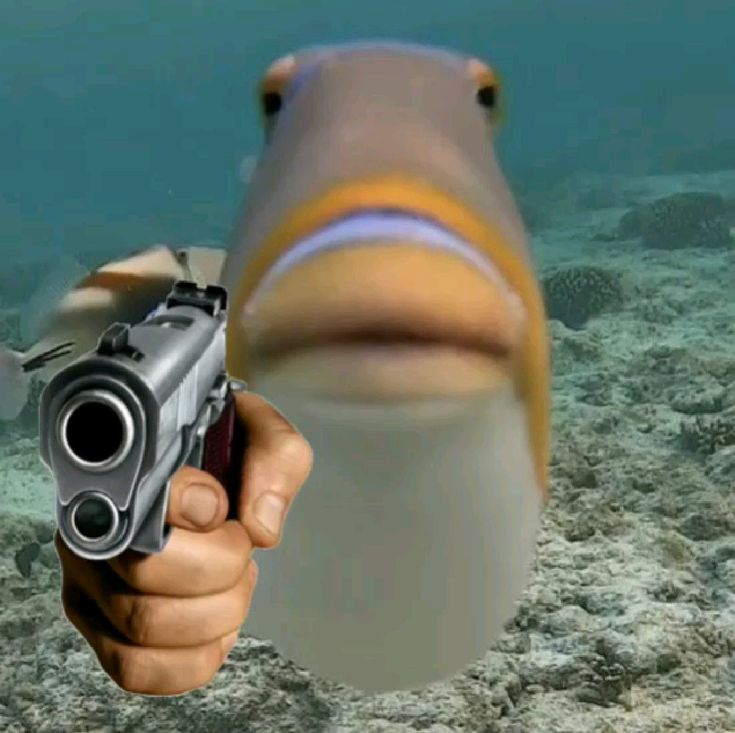 Steam: How to Fish