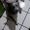 Avatar de CoolioYo13